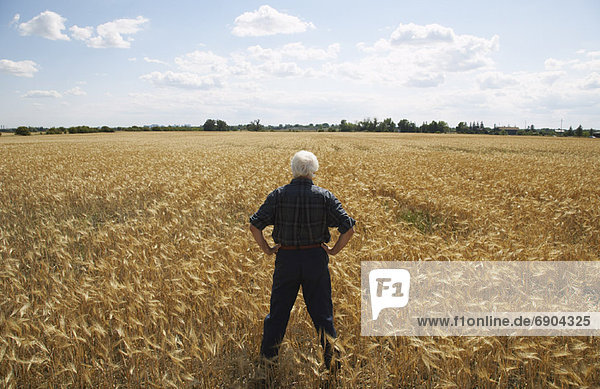 Man Standing in Grain Field