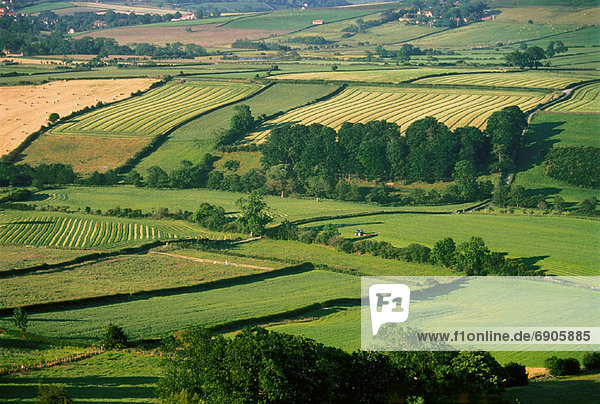 England