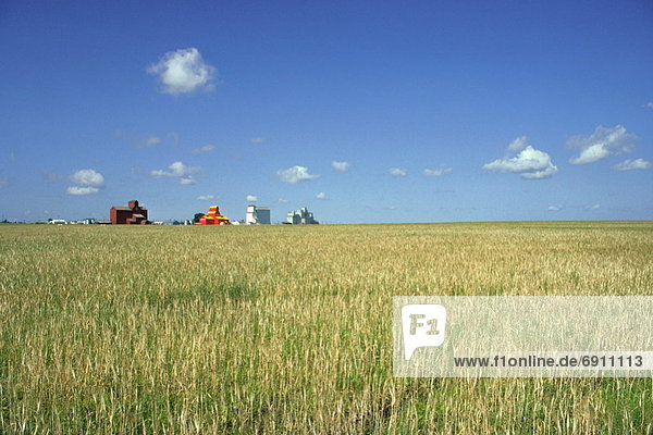 Grain Elevators  Wheat Field  Saskatchewan  Canada