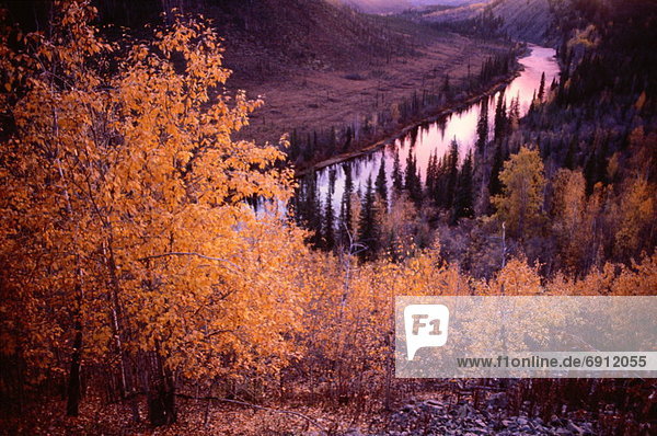 Fall Scenic, Alaska, USA