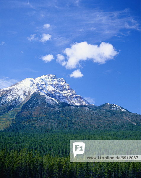 Scenic of Mountain  Jasper National Park  Alberta  Canada