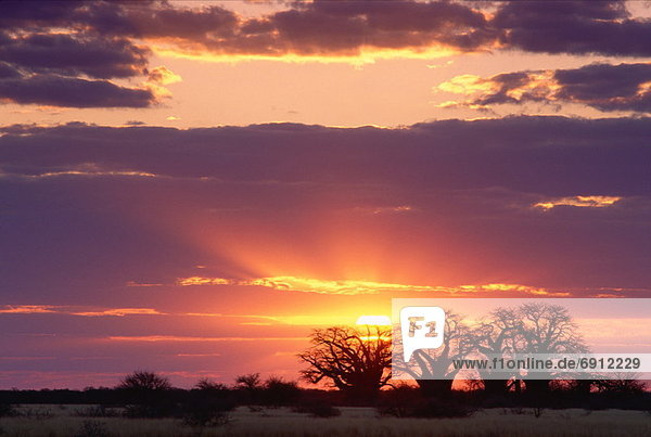 Sonnenuntergang  Afrika  Botswana