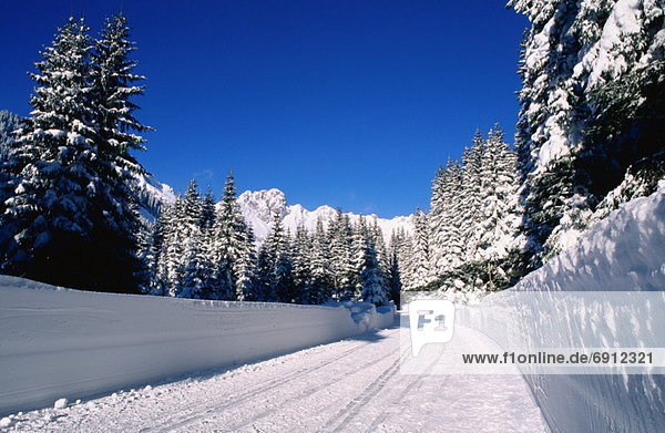 Winter Scenic Austria