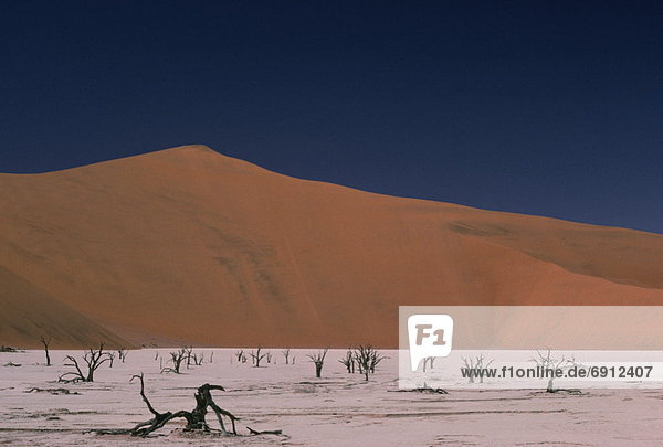 Wachstum Bett trocken Wüste See Namibia kahler Baum kahl kahle Bäume antik