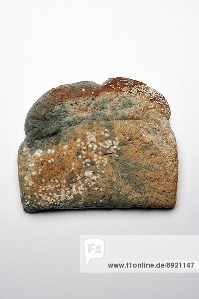 Mouldy Bread