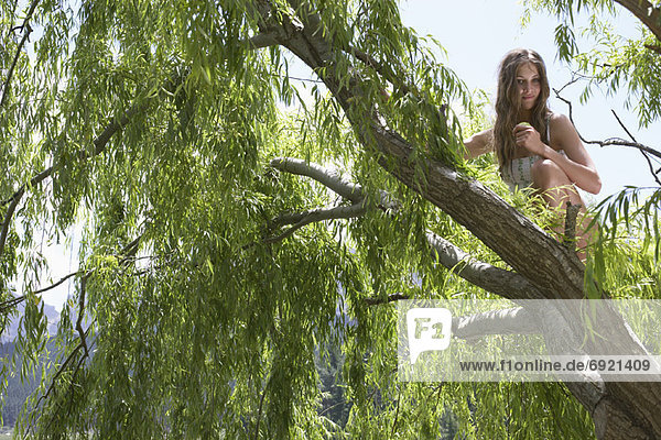 Junge Frau im Baum