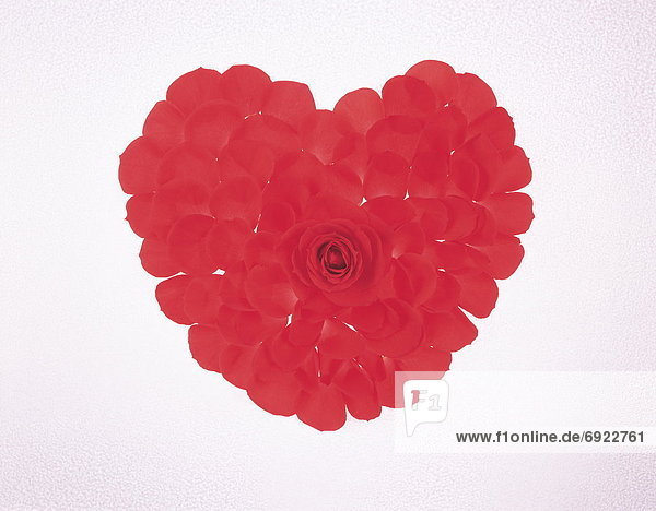 Red rose and petals arranged into a heart