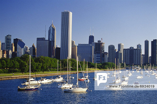 Chicago Skyline  Illinois  USA