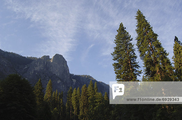 Yosemite Nationalpark  Kalifornien  USA
