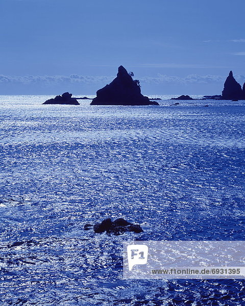 The ocean and silhouetted rock formations  Shizuoka Prefecture  Japan
