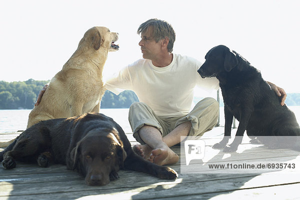 Man With Dogs  Sitting on Dock
