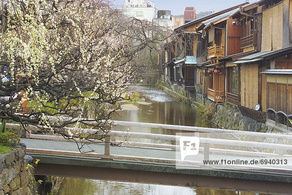 Shirakawa River running through Gion in Kyoto  Japan