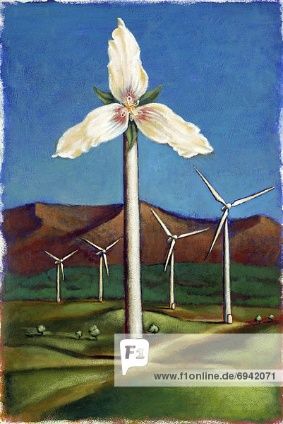 Blume  Wind  Illustration