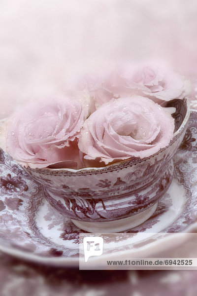 Teetasse  Antiquität  Rose