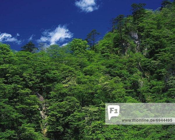 Naruko Gorge  Miyagi Prefecture  Honshu  Japan