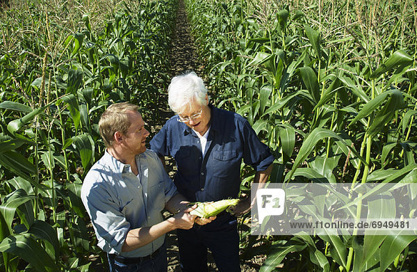 Men Checking Corn in Cornfield
