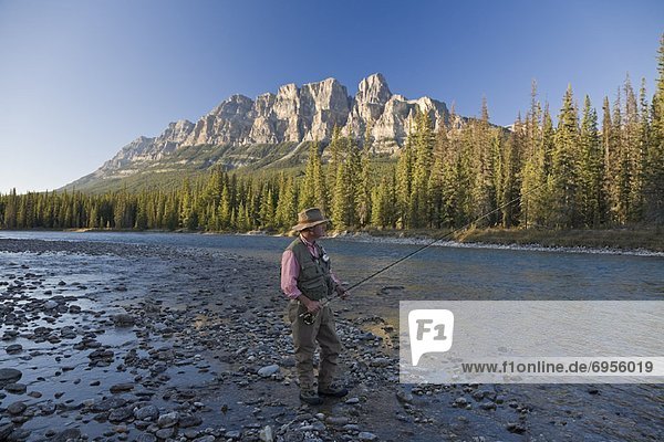Man Fishing in Mountain River  Banff National Park  Alberta  Canada