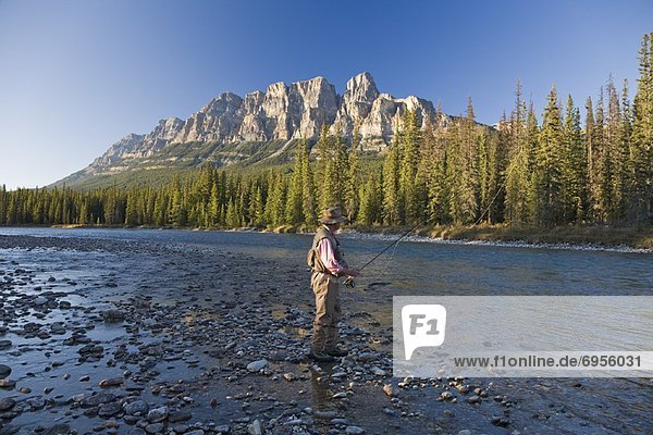 Man Fishing in Mountain River  Banff National Park  Alberta  Canada