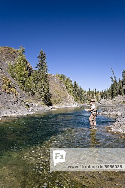 Man Fishing in River  Highwood River  Alberta  Canada