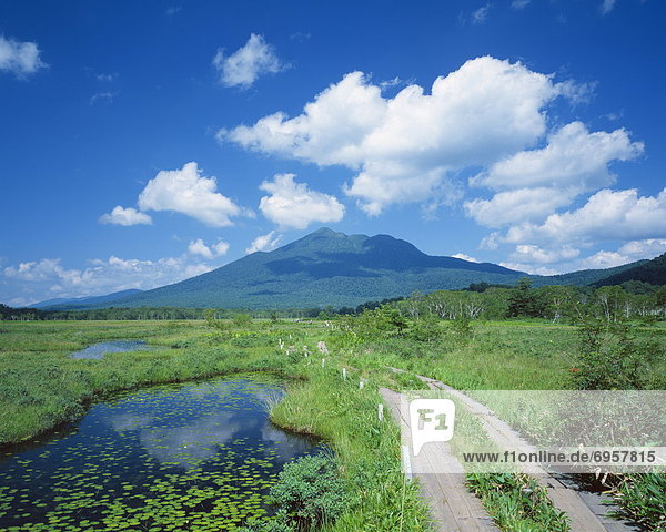 Mountain from Ozegahara  Gunma prefecture  Japan