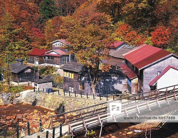 Baum Brücke Dorf Herbst Akita Präfektur Japan