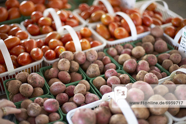 arbeiten  Tal  Ziegelstein  Tomate  Kartoffel  Landwirtin  Kanada  Markt  Ontario  Toronto