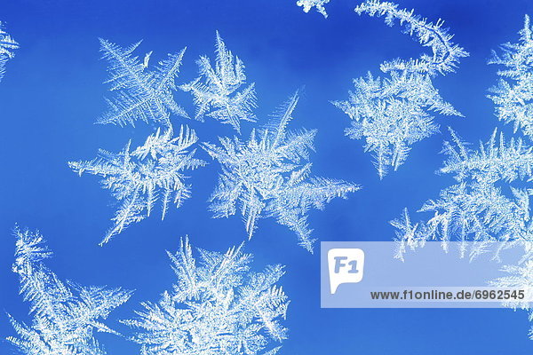 Snowflakes on glass  close up  blue background