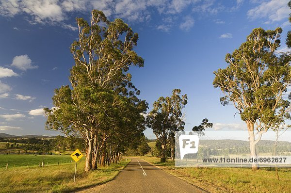 Victoria Australien