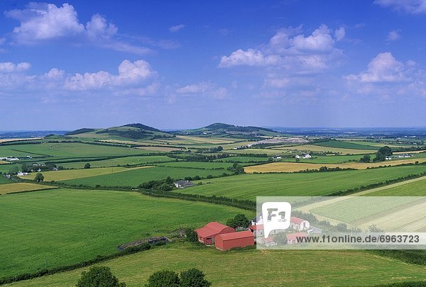 High Angle View Of Fields  Stradbally  County Laois  Republic Of Ireland