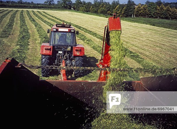 Combine Harvester Harvesting A Field  Republic Of Ireland