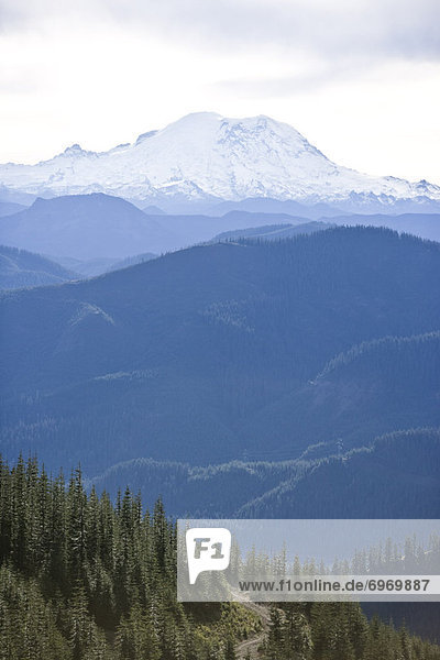Vereinigte Staaten von Amerika  USA  Mount Rainier Nationalpark  Washington State