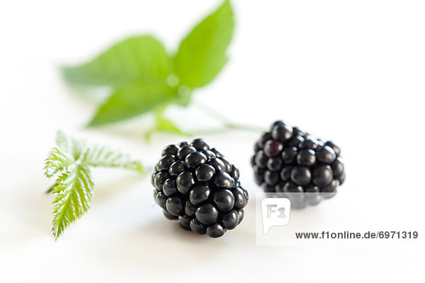 Blackberry fruits