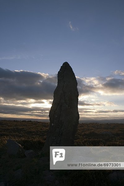 Standing Stone  Farbreaga  Co Waterford  Ireland