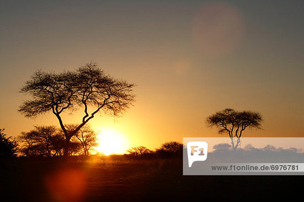 Sonnenuntergang  Namibia