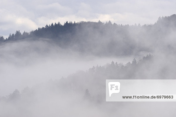 Hügel  Wald  Nebel  Außenseiter  Baden-Württemberg  Schwarzwald  Deutschland