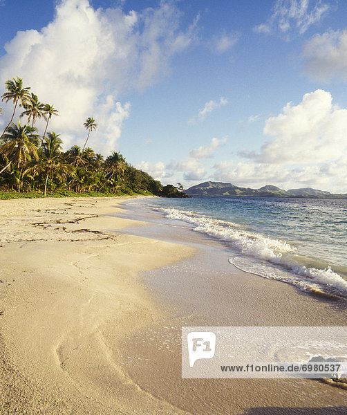 Tropical Beach  Fiji
