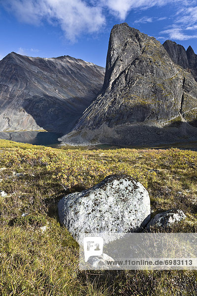 Kanada  Tombstone Territorial Park  Yukon