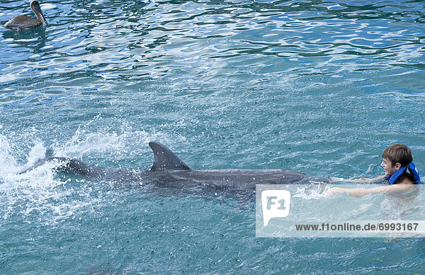 Swimming with Dolphin  Mexcio