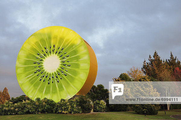 Giant Kiwi, Te Puke, Bay of Plenty, North Island, New Zealand