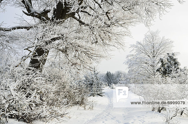 Winter Landscape near Albstadt Swabian Alb Baden-Wuerttemberg Germany