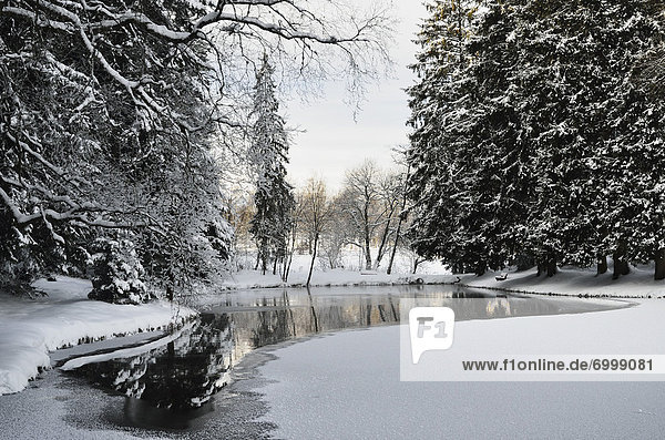 Winter Landscape near Koenigsfeld  Black Forest  Baden-Wurttemberg  Germany