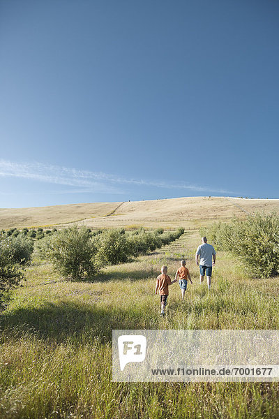 Family Walking  Livermore  Alameda County  California  USA