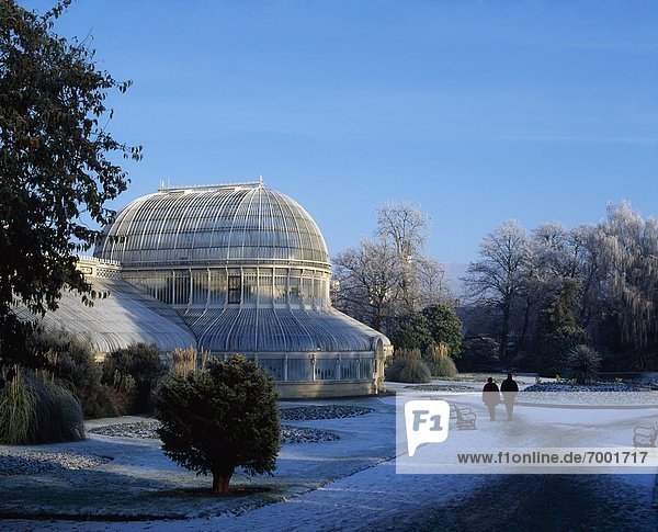 Belfast Hauptstadt Garten Botanik Schnee