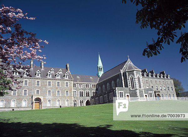 Hochschule  Irland