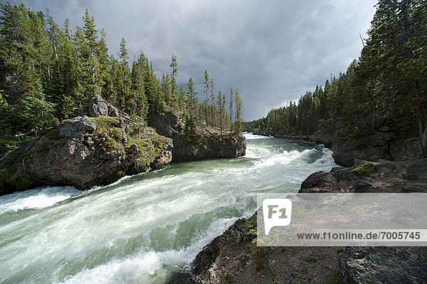 Vereinigte Staaten von Amerika USA Yellowstone Nationalpark Wyoming
