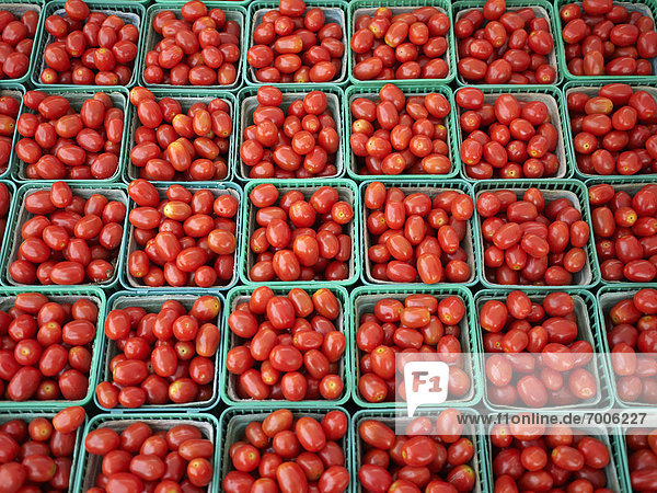 Kirsche  Landwirtin  Tomate  Kanada  Markt  Ontario