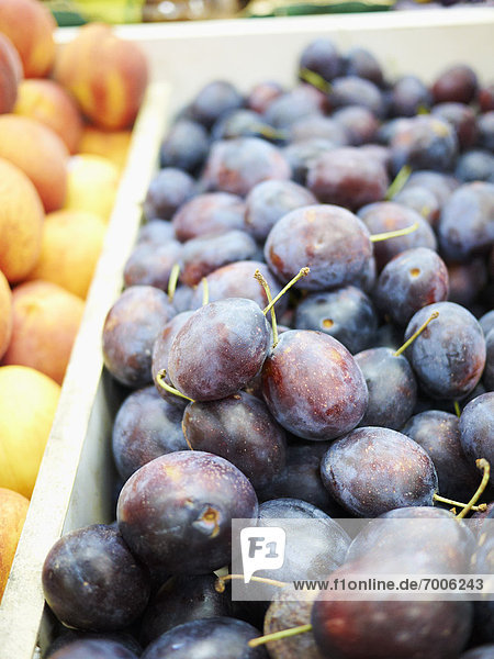 Plums at Market