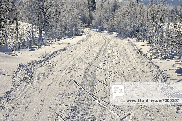 Road Kuusamo Northern Ostrobothnia Oulu Province Finland