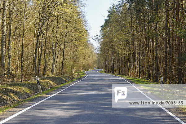 Fernverkehrsstraße  Wald  früh  Bayern  Franken  Deutschland