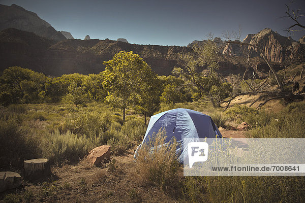Vereinigte Staaten von Amerika  USA  Campingplatz  Zion Nationalpark  Utah